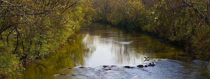 Rivanna River Panorama from Free Bridge, Charlottesville, VA